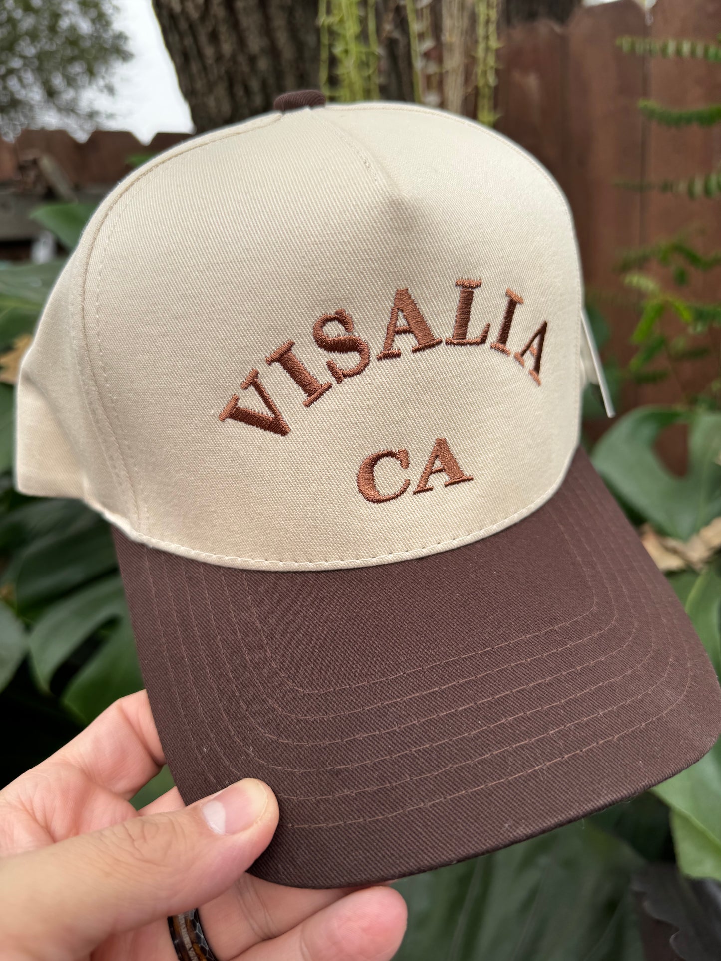 Visalia Pride Dad Hat (Brown)